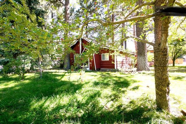 Green Cabin In Big Bear Lake 3 Bdr Pets Friendly Big Bear City Exteriér fotografie